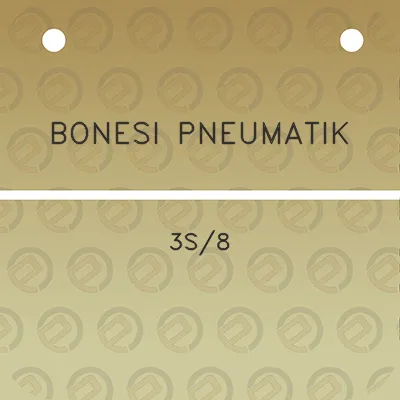 bonesi-pneumatik-3s8