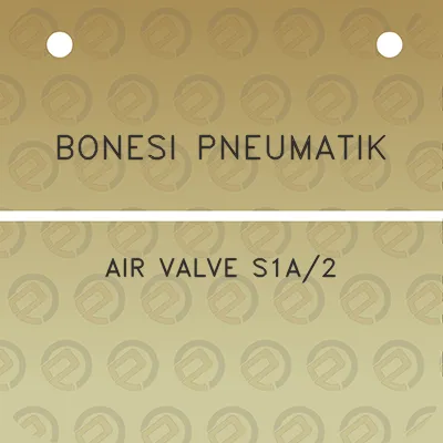 bonesi-pneumatik-air-valve-s1a2