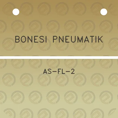 bonesi-pneumatik-as-fl-2