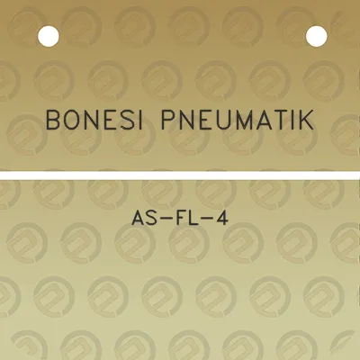 bonesi-pneumatik-as-fl-4