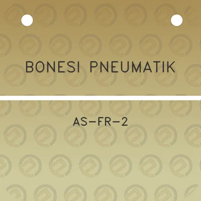 bonesi-pneumatik-as-fr-2