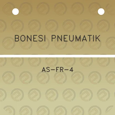 bonesi-pneumatik-as-fr-4