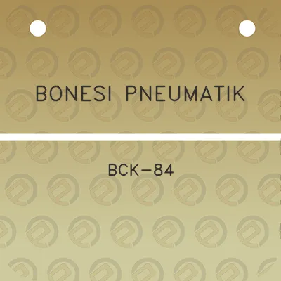 bonesi-pneumatik-bck-84