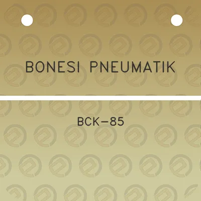 bonesi-pneumatik-bck-85