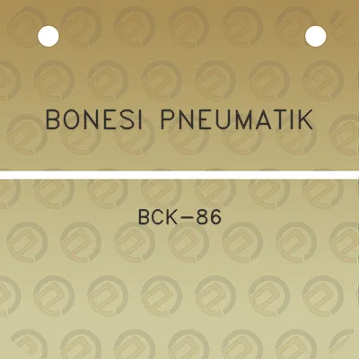 bonesi-pneumatik-bck-86