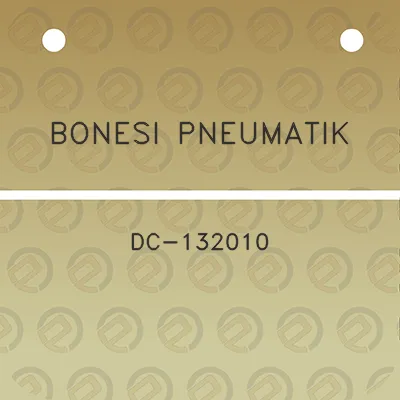 bonesi-pneumatik-dc-132010