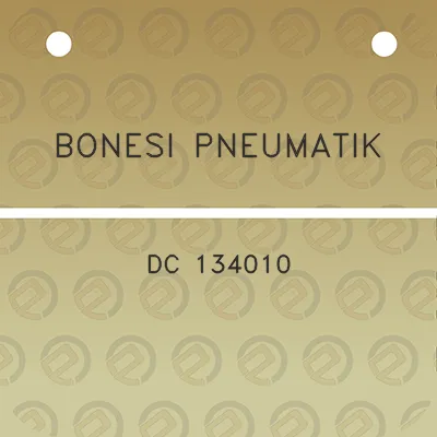 bonesi-pneumatik-dc-134010