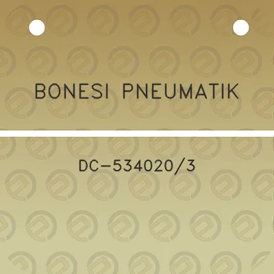 bonesi-pneumatik-dc-5340203