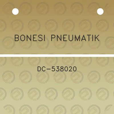 bonesi-pneumatik-dc-538020