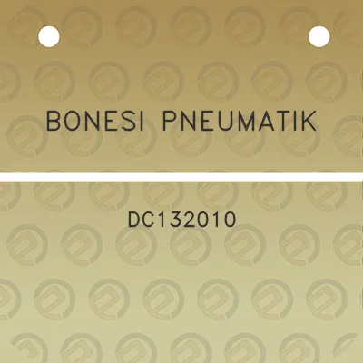 bonesi-pneumatik-dc132010