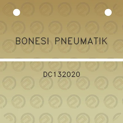 bonesi-pneumatik-dc132020