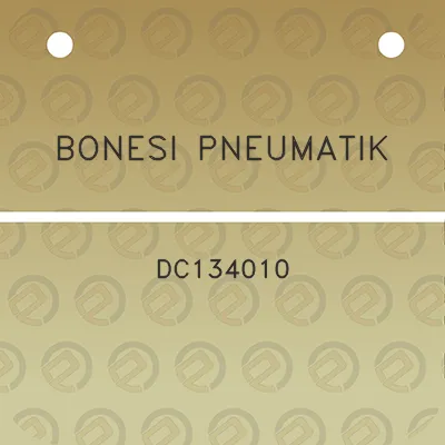 bonesi-pneumatik-dc134010