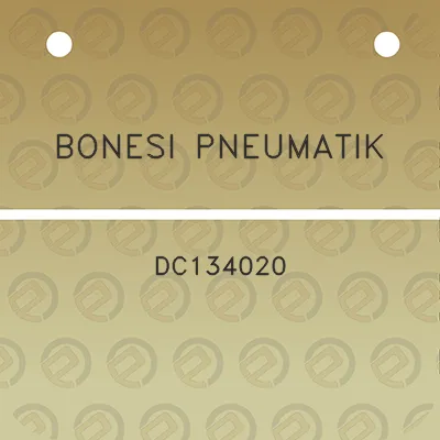 bonesi-pneumatik-dc134020