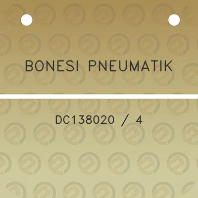 bonesi-pneumatik-dc138020-4