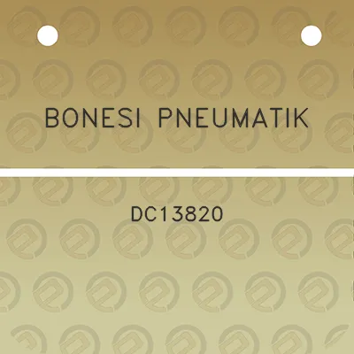 bonesi-pneumatik-dc13820