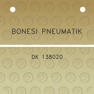 bonesi-pneumatik-dk-138020