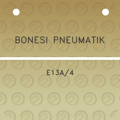 bonesi-pneumatik-e13a4