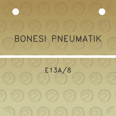 bonesi-pneumatik-e13a8