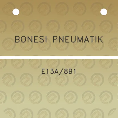 bonesi-pneumatik-e13a8b1