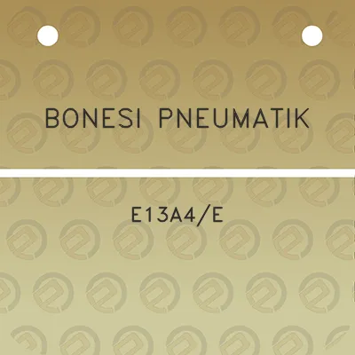 bonesi-pneumatik-e13a4e