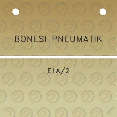 bonesi-pneumatik-e1a2