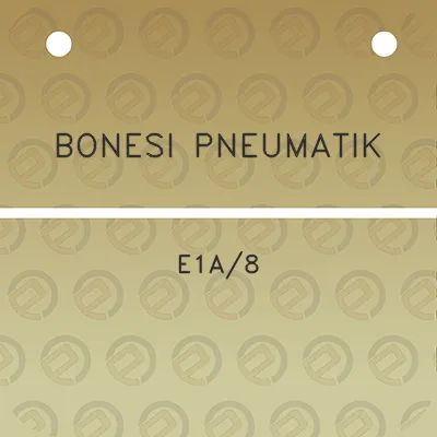 bonesi-pneumatik-e1a8