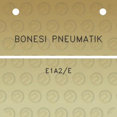 bonesi-pneumatik-e1a2e