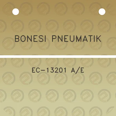 bonesi-pneumatik-ec-13201-ae