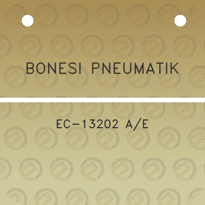 bonesi-pneumatik-ec-13202-ae