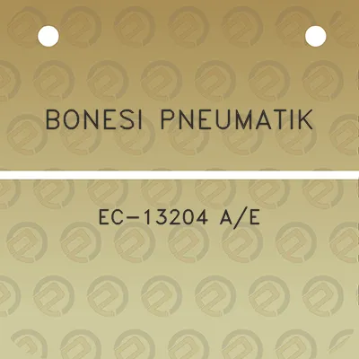 bonesi-pneumatik-ec-13204-ae