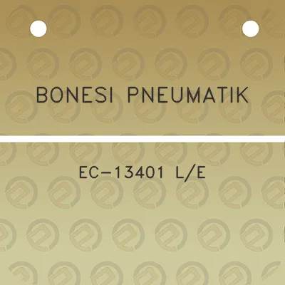 bonesi-pneumatik-ec-13401-le