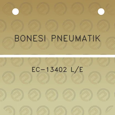 bonesi-pneumatik-ec-13402-le