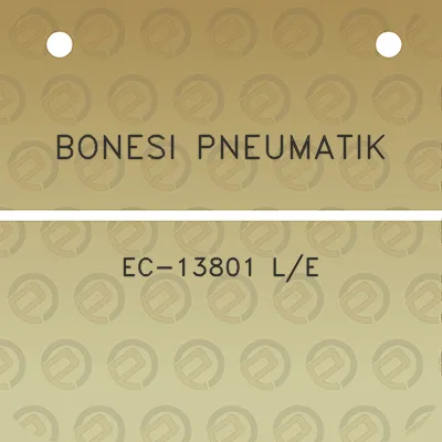 bonesi-pneumatik-ec-13801-le