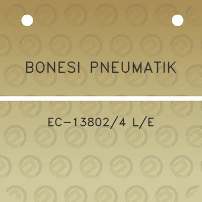 bonesi-pneumatik-ec-138024-le