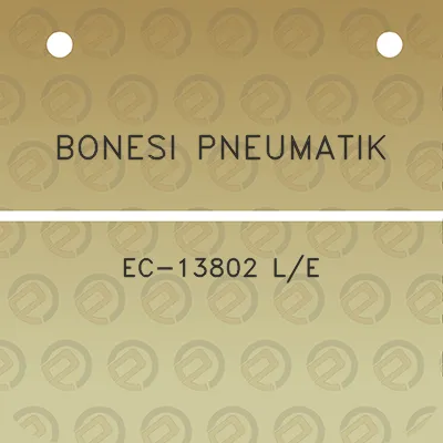 bonesi-pneumatik-ec-13802-le