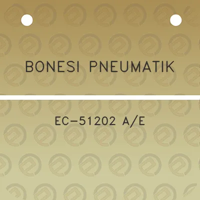 bonesi-pneumatik-ec-51202-ae