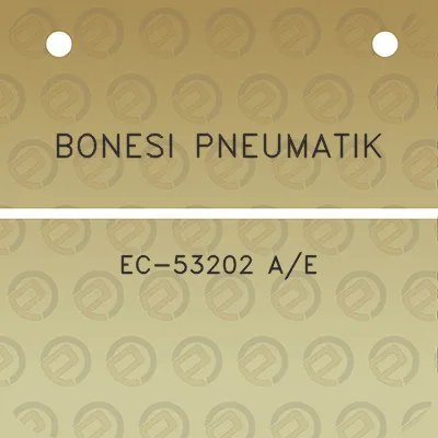 bonesi-pneumatik-ec-53202-ae