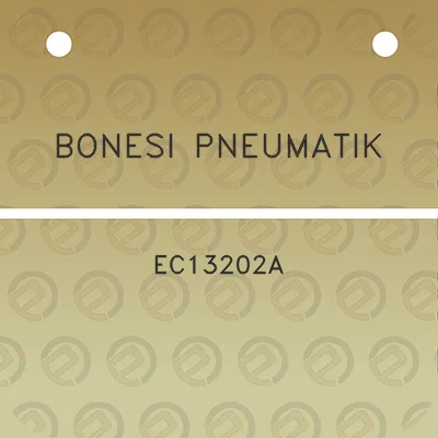 bonesi-pneumatik-ec13202a