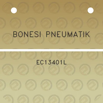 bonesi-pneumatik-ec13401l