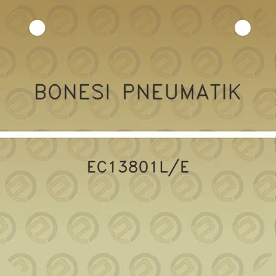 bonesi-pneumatik-ec13801le