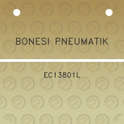 bonesi-pneumatik-ec13801l