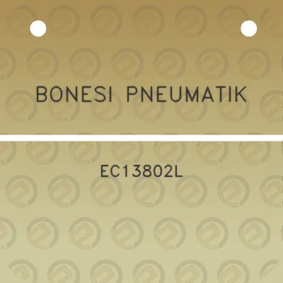 bonesi-pneumatik-ec13802l