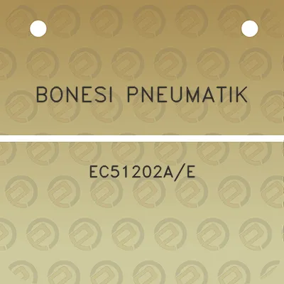 bonesi-pneumatik-ec51202ae