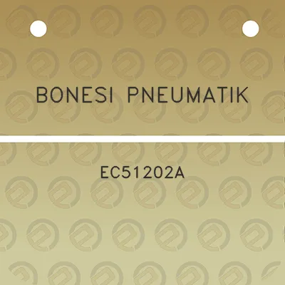 bonesi-pneumatik-ec51202a