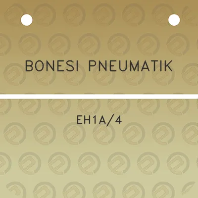 bonesi-pneumatik-eh1a4