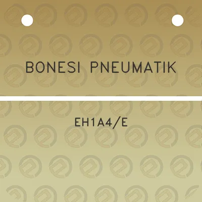 bonesi-pneumatik-eh1a4e