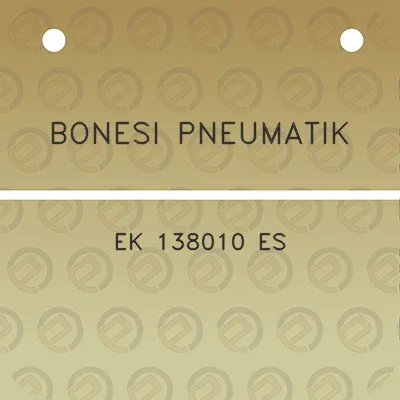 bonesi-pneumatik-ek-138010-es