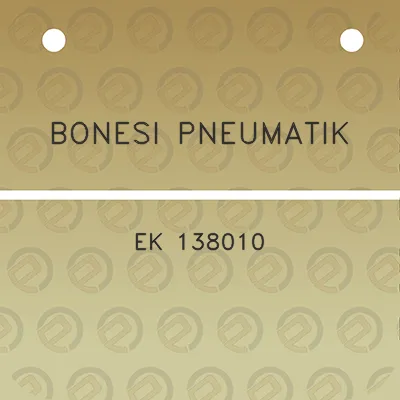 bonesi-pneumatik-ek-138010