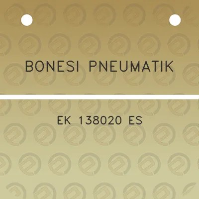 bonesi-pneumatik-ek-138020-es