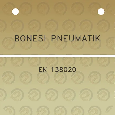 bonesi-pneumatik-ek-138020